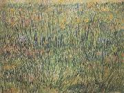 Pasture in Bloom (nn04), Vincent Van Gogh